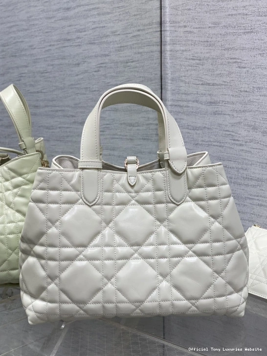 Tony Luxuries MEDIUM TOUJOURS BAG diro 0808